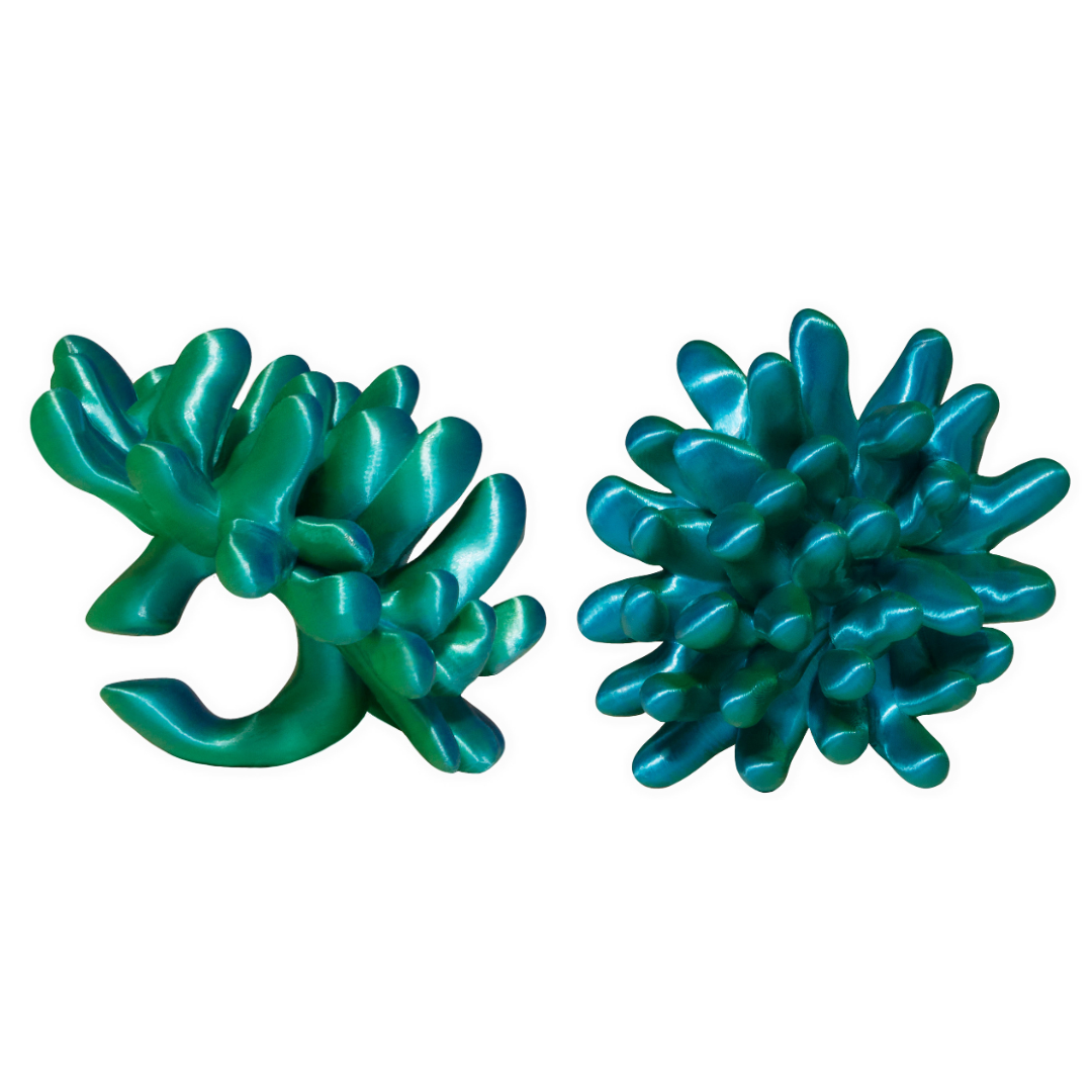 Anemone Earcuffs | Satin Blue/Green