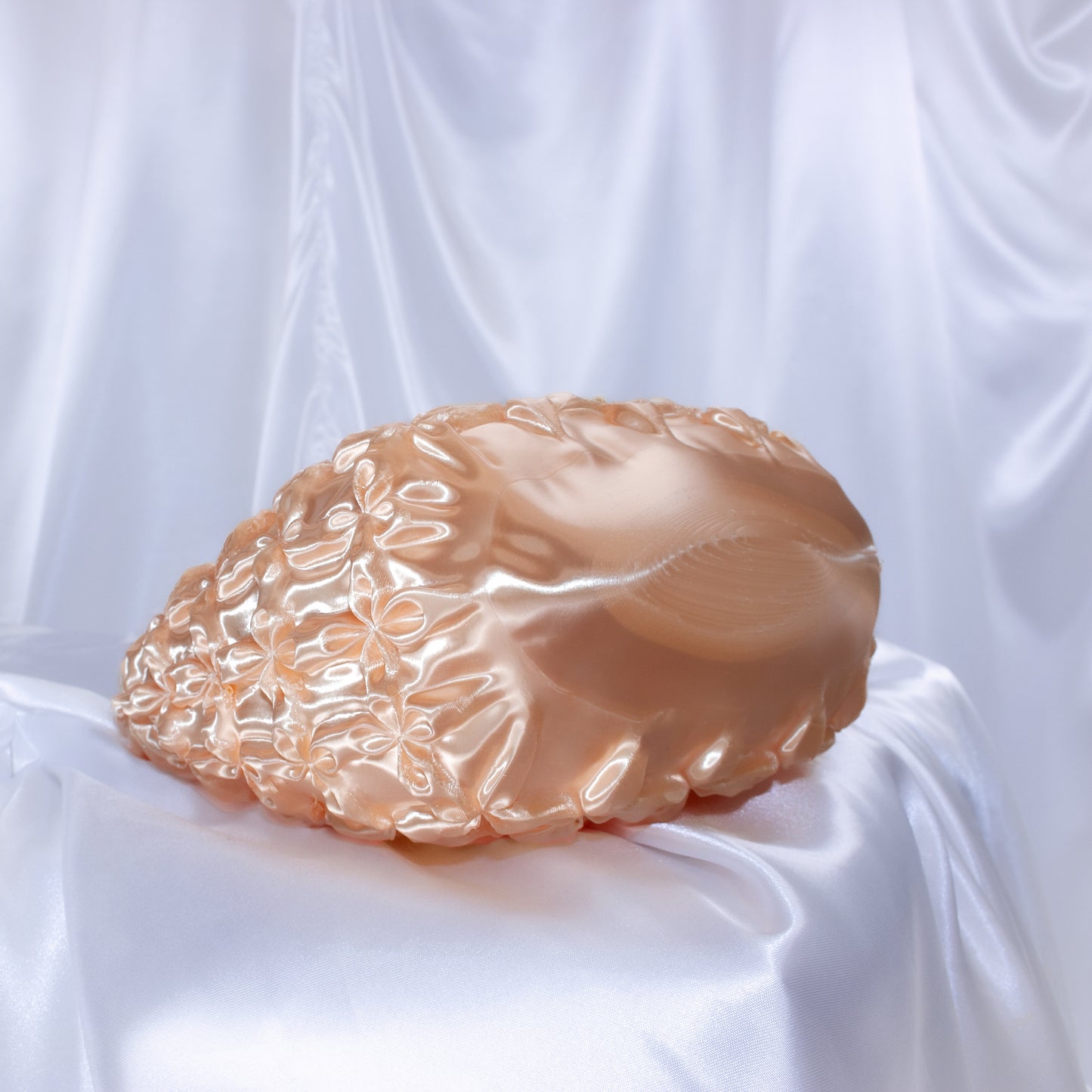 Venus Bag | Champagne